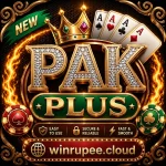 PAK PLUS GAME