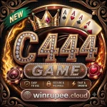 C444 game