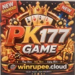 PK177 Game